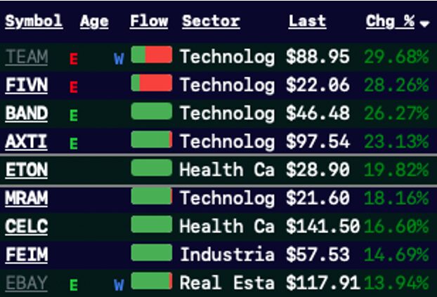 Bullish/bearish options flow column showing net call and put pressure per ticker